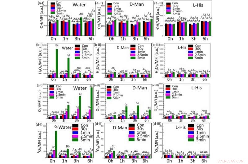 Singlet Oxygen: A Crucial Driver of Synergistic Antimicrobial Mechanisms