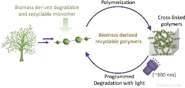 Vanillin‑Derived Plastics with Triggered Degradation for Sustainable Recycling