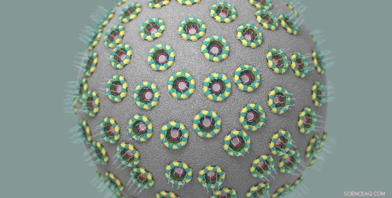 Unveiling Cellular Secrets: Atom‑by‑Atom Insights into a Key Cellular Component