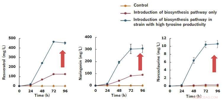 Engineering a Tyrosine-Rich Yeast Chassis for Sustainable, High-Yield Production of Valuable Compounds