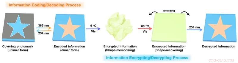 New Fluorescent Organohydrogel Enables Dual-Mode Information Encryption