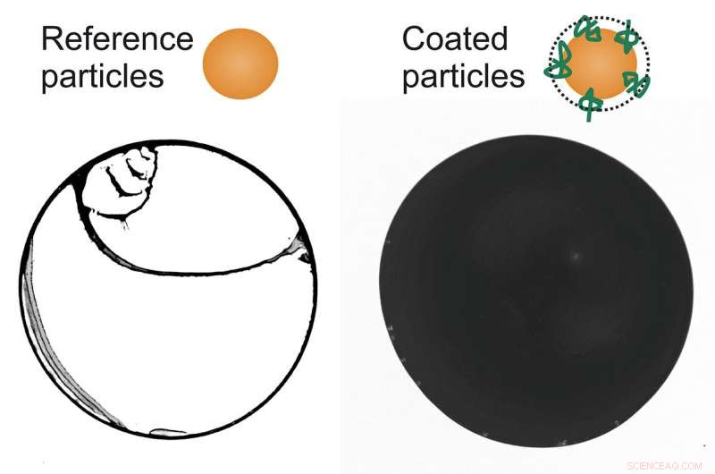 How Polymer-Coated Surfaces Ensure Even Drying of Particle-Containing Liquids