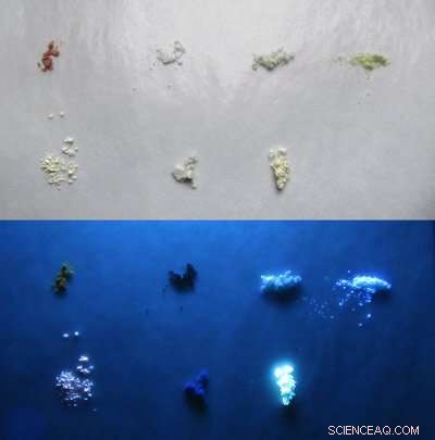 New Fluorescent Compounds Discovered Using Quantum Chemistry and Machine Learning