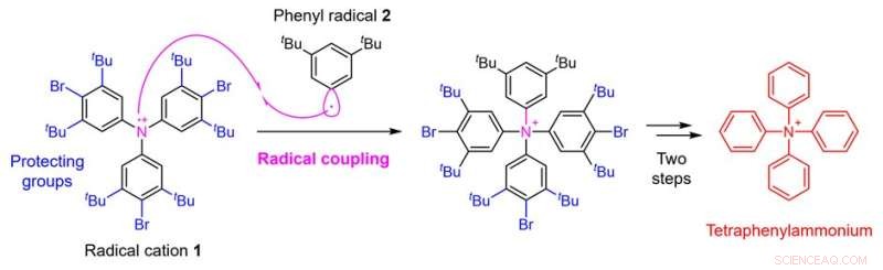 Tetraphenylammonium Synthesized: Validating the Long-Standing Phantom Ion