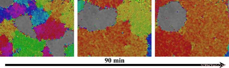 Rice University Engineers Visualize Nanoscale Crystal Dynamics in a Simpler System
