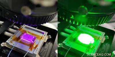 Liquid With Unmatched Electric Field Tunability Achieves Record-Range Dielectric Switching