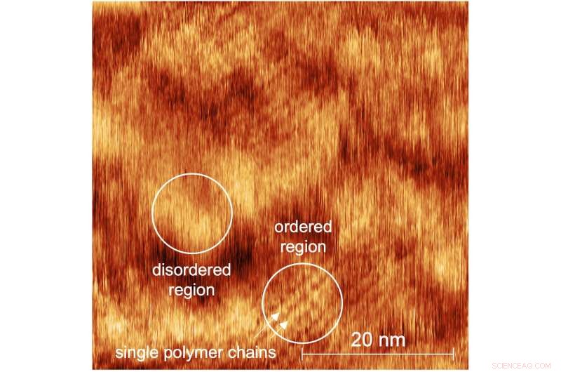 Fruitcake-Patterned Microstructure Discovered in Organic Polymer, Enhancing Flexible Electronics