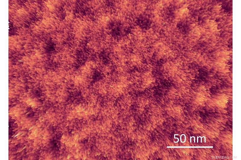 Fruitcake-Patterned Microstructure Discovered in Organic Polymer, Enhancing Flexible Electronics