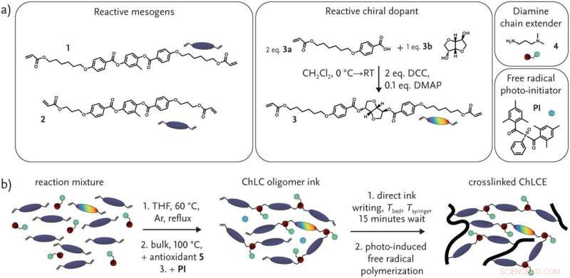 Advancing 4D Printing Through Structural Color Engineering