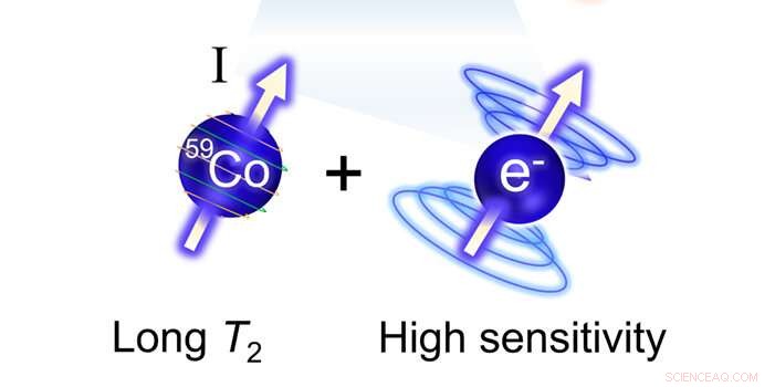 Chemists Develop Highly Sensitive Probe to Detect Minute Body Temperature Changes