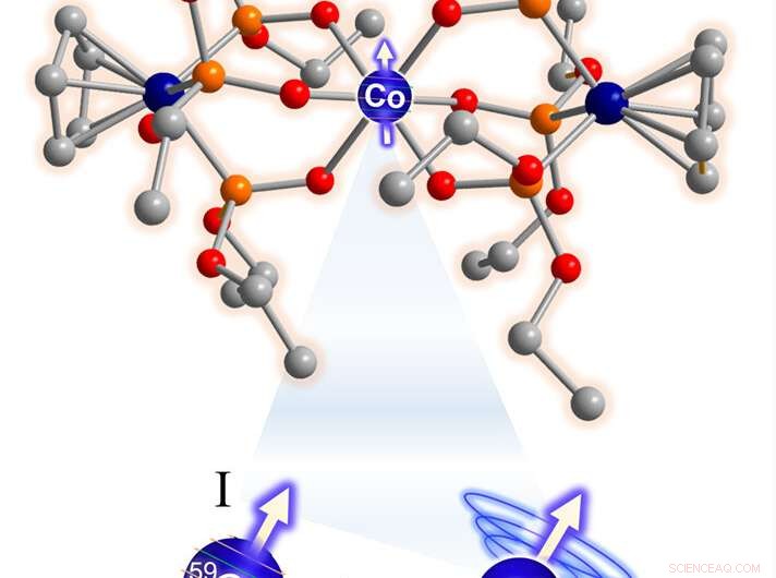 Chemists Develop Highly Sensitive Probe to Detect Minute Body Temperature Changes