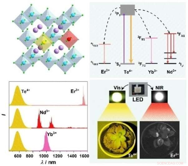 Lead‑Free Perovskite Emitters Convert Near‑UV LEDs into Efficient Near‑Infrared Light