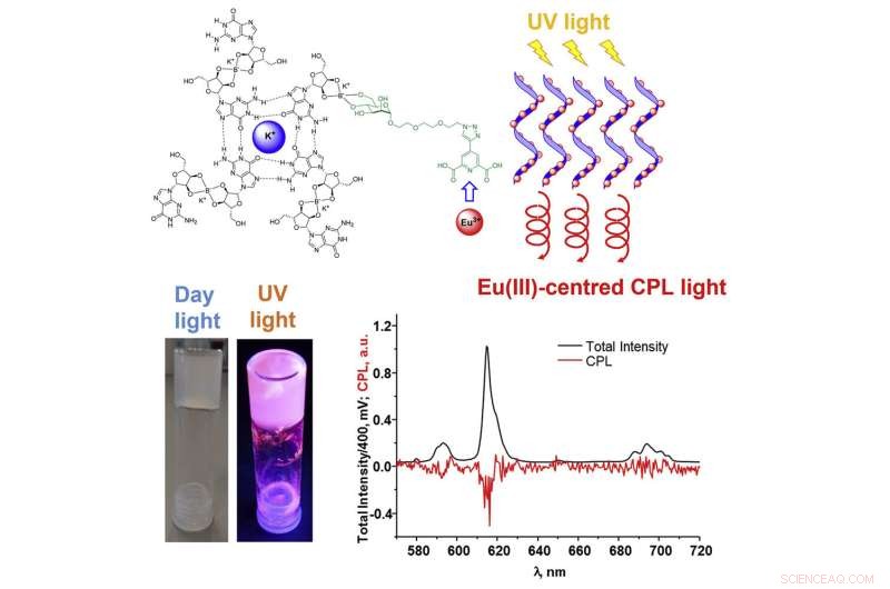 Luminescent Self‑Healing Gels: From Counterfeiting Prevention to Advanced Bio‑Sensing