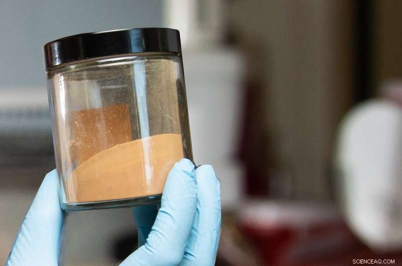 Artificial Enzyme Degrades Woody Lignin, Unlocking Renewable Energy Potential