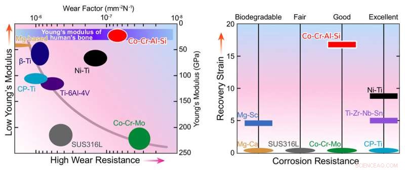 Cobalt‑Chromium Alloy: Flexible, Wear‑Resistant, and Superelastic – A Breakthrough for Biomedical Implants