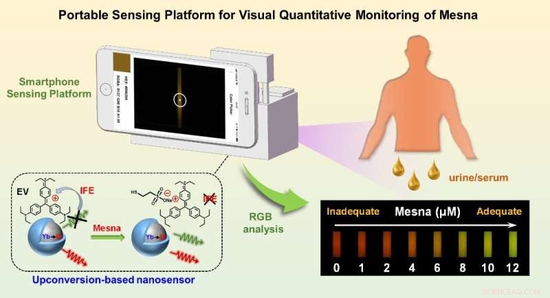 Novel Upconversion Nanosensor Enables Real‑Time Mesna Detection in Chemotherapy Patients