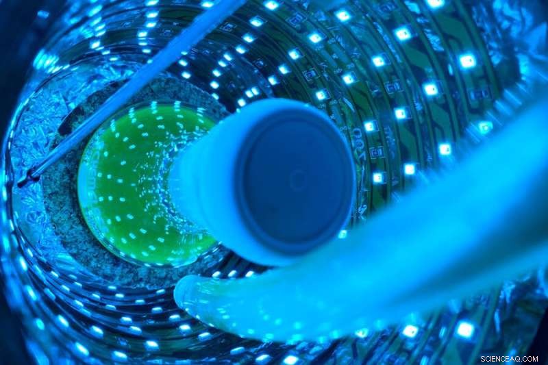 Revolutionary Light-Powered Catalysts Promise Smarter, More Sustainable Manufacturing