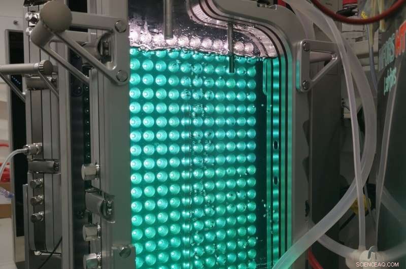 Cyanobacterin Biosynthesis Reveals a New Natural Compound Class for Medicine and Agriculture