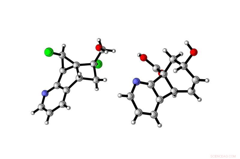 Chemists Harness Light Energy to Create Novel Small-Molecule Ring Structures