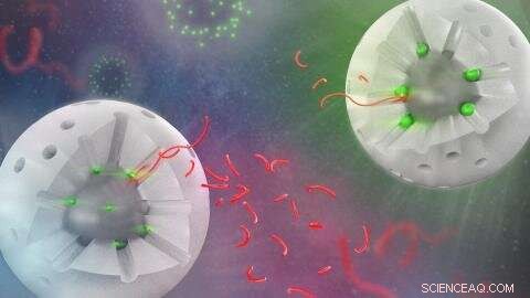 Revolutionary Catalyst Accelerates Plastic Upcycling for a Sustainable Future