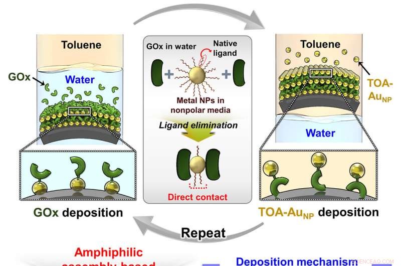 Innovative Electrode Design Enhances Biofuel Cell Performance & Electrochemical Device Efficiency