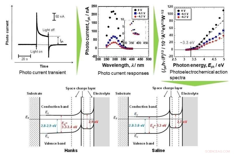 Why Titanium Implants Excel: Unveiling the Science Behind Their Exceptional Biocompatibility