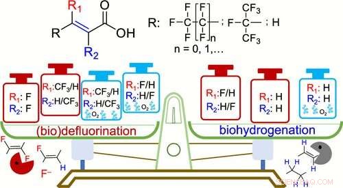 Common Microbial Communities Break Ultra‑Strong Carbon‑Fluorine Bonds in PFAS Anoxic Conditions