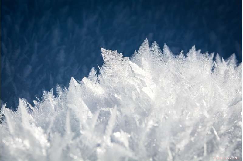 New Study Reveals Organic Crystals as Efficient Energy Converters for Next-Gen Robotics and Electronics