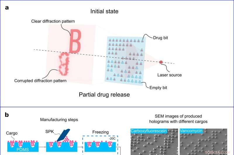 Biocompatible Binary Hologram for Controlled Drug Release Monitoring