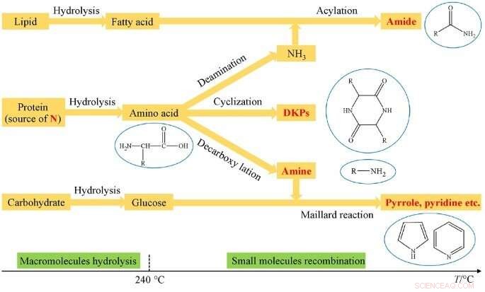 Innovative Approach to Reduce Nitrogen Compounds in Biocrude from Microalgae Hydrothermal Liquefaction