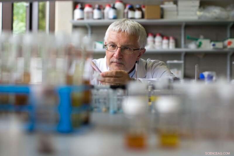 Innovative Material Traps Toxic Air Pollutants, Enhancing Environmental Safety