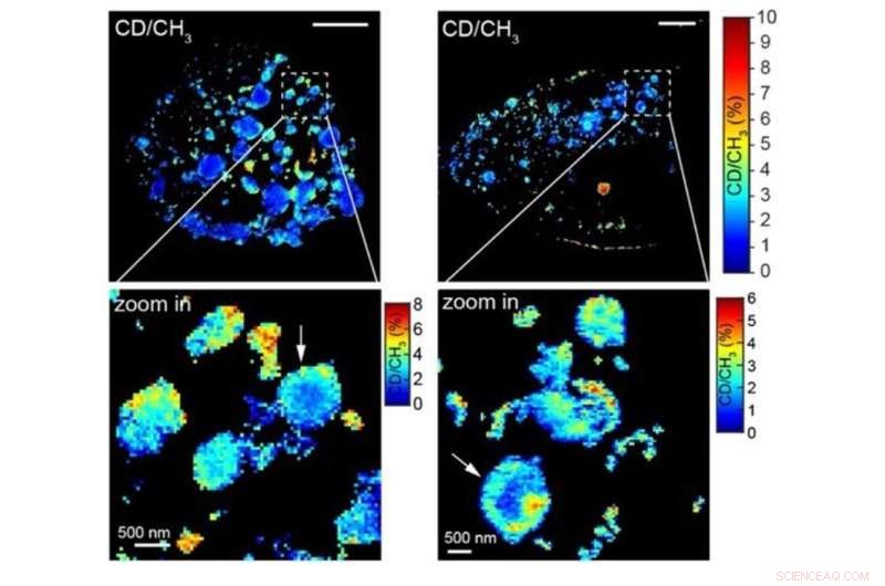 CMU and Columbia Merge Stimulated Raman Scattering with Expansion Microscopy to Reveal Nanoscale Biomolecules