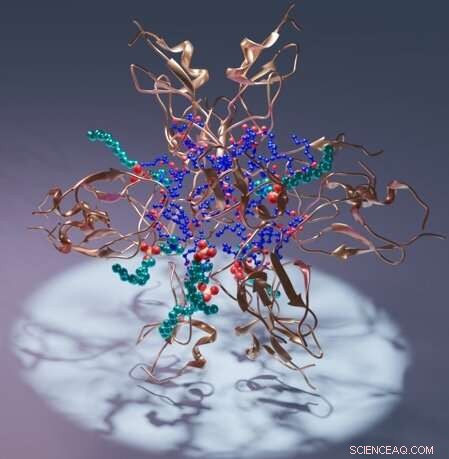 Breakthrough Protein Structures Propel Targeted Drug Design for Alzheimer’s, Cancer, and More