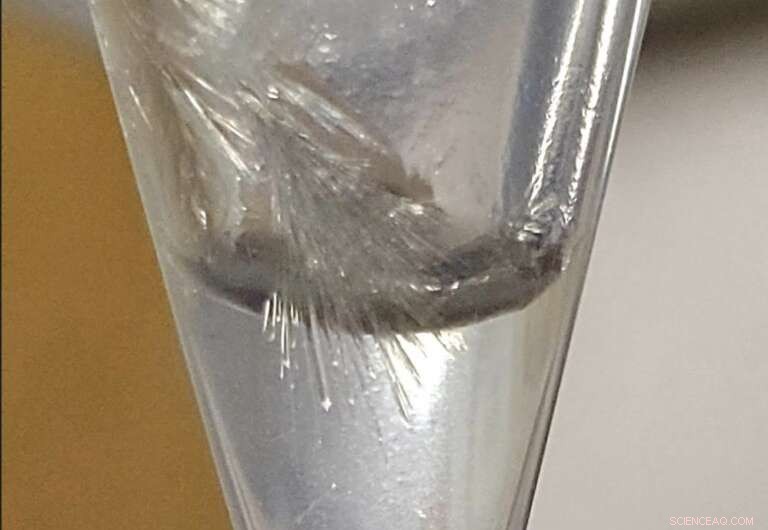 Breakthrough Protein Structures Propel Targeted Drug Design for Alzheimer’s, Cancer, and More