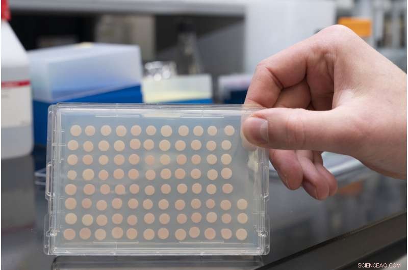 Researchers Pinpoint Destination of Zinc-Transporting Protein