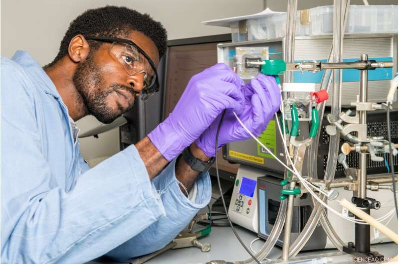 Harnessing Marine Bacteria to Enhance Oceanic CO2 Sequestration