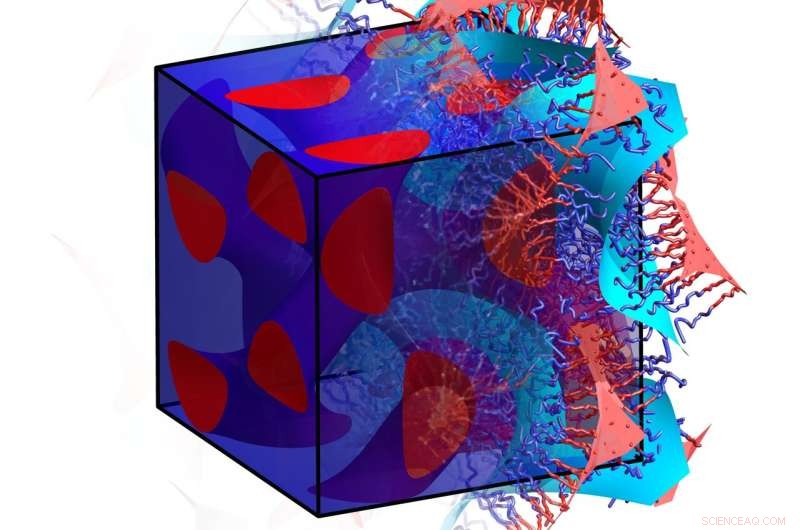 Groundbreaking Theory Reshapes Polymer Superstructure Research