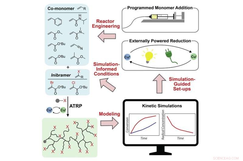 Enhanced Technique for Efficient Synthesis of Branched Polymers