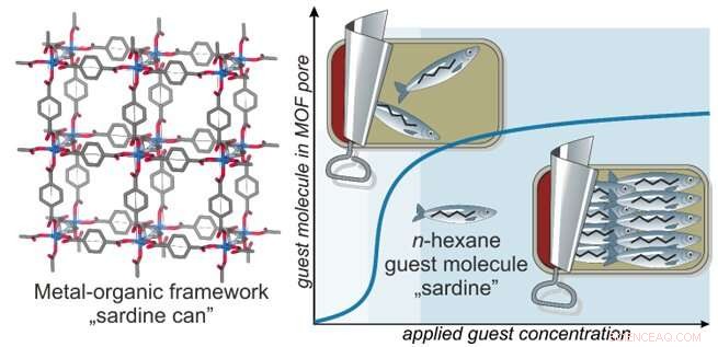 Guest Molecule Alignment and Defect Formation During Pore Filling in MOF Films