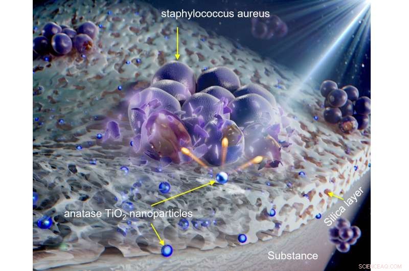 Innovative Waterproof Paper Coating Cuts Plastic Use: A Sustainable Alternative