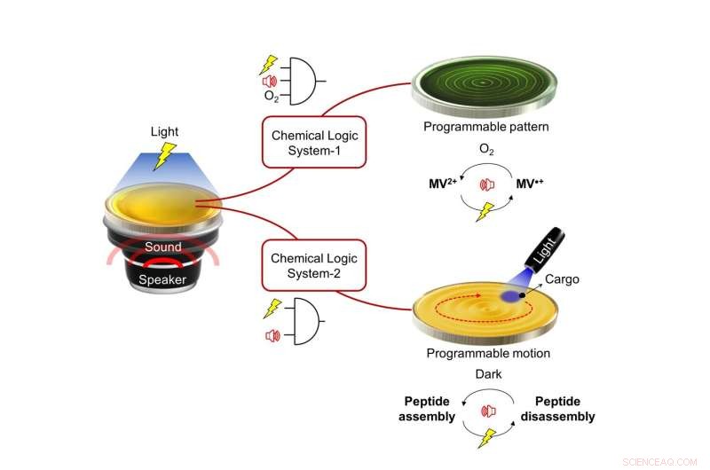Chemical Logic Systems: Responsive Design for Environmental Sensing and Information Processing