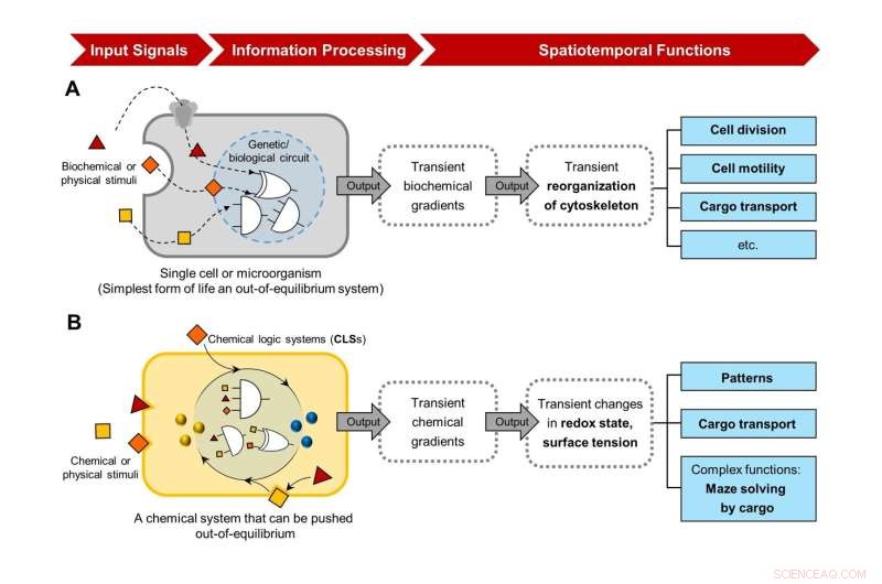 Chemical Logic Systems: Responsive Design for Environmental Sensing and Information Processing