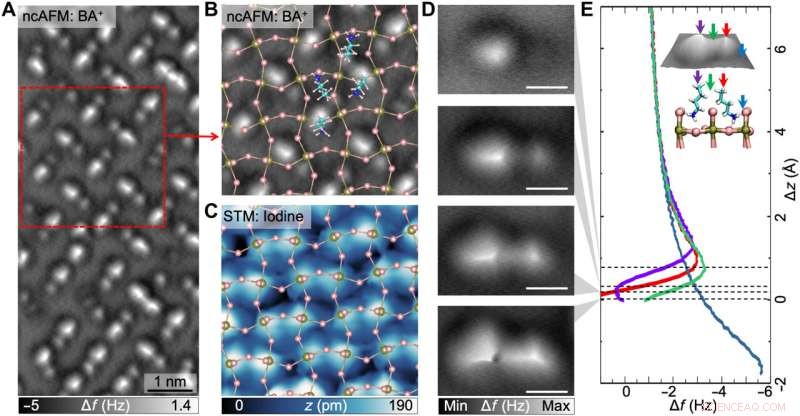 High‑Resolution, Non‑Invasive Imaging of Atomic Arrangements in 2‑D Hybrid Perovskites