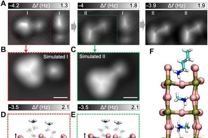 High‑Resolution, Non‑Invasive Imaging of Atomic Arrangements in 2‑D Hybrid Perovskites