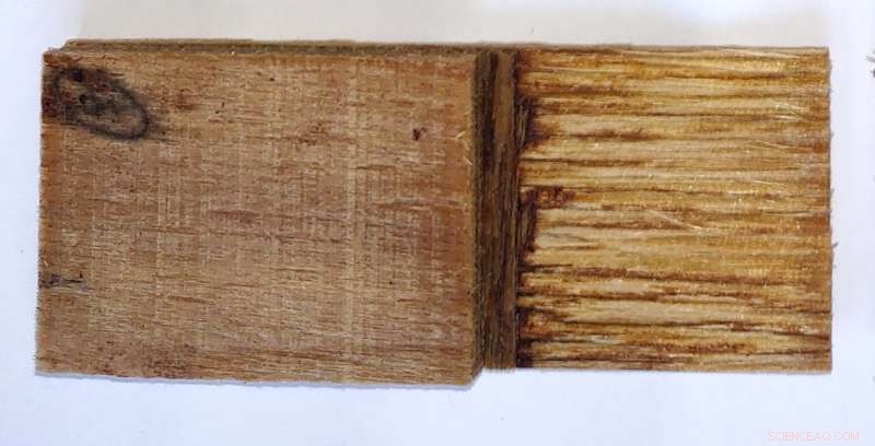 Eco-Friendly Plywood Adhesive Made from Glucose and Citric Acid