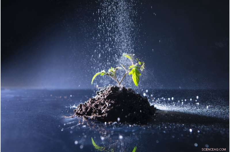 Revolutionizing Agriculture: A Sustainable, Low‑Pollution Fertilizer Production Process