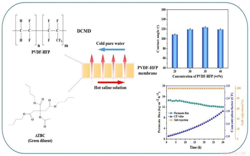 Enhancing Hydrophobic Membrane Surfaces for Superior Membrane Distillation Performance