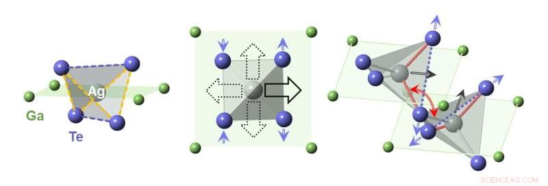 Hidden Distortions Unlock Promising Thermoelectric Performance