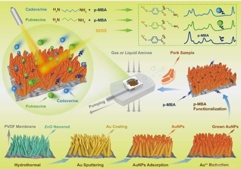 Ultra-Sensitive SERS Substrate for Advanced Gas Detection