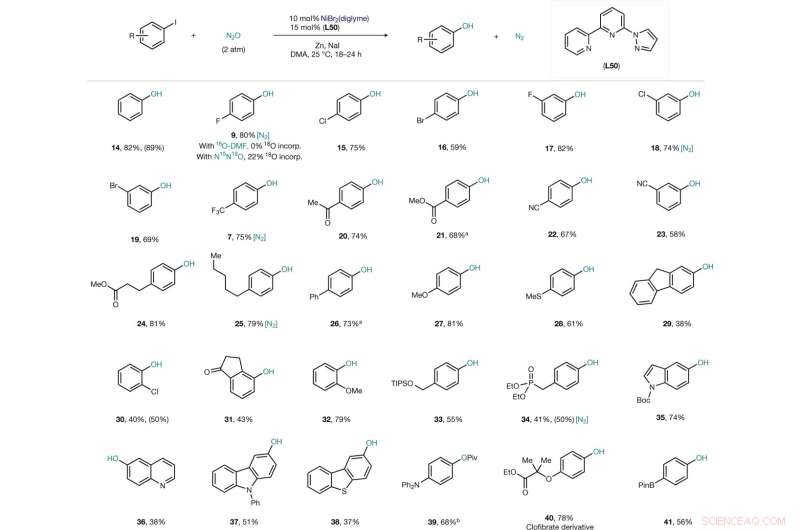 Efficient Catalytic Conversion of Nitrous Oxide to Phenols: A Novel Green Synthesis